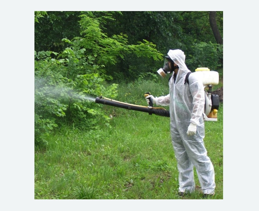 обработка территории от клещей в Зверево