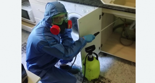 Уничтожение муравьев в квартире. Зверево