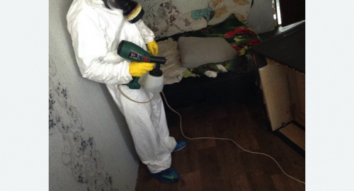 Обработка квартир от насекомых в Зверево