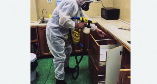 Дезинсекция квартиры. Зверево