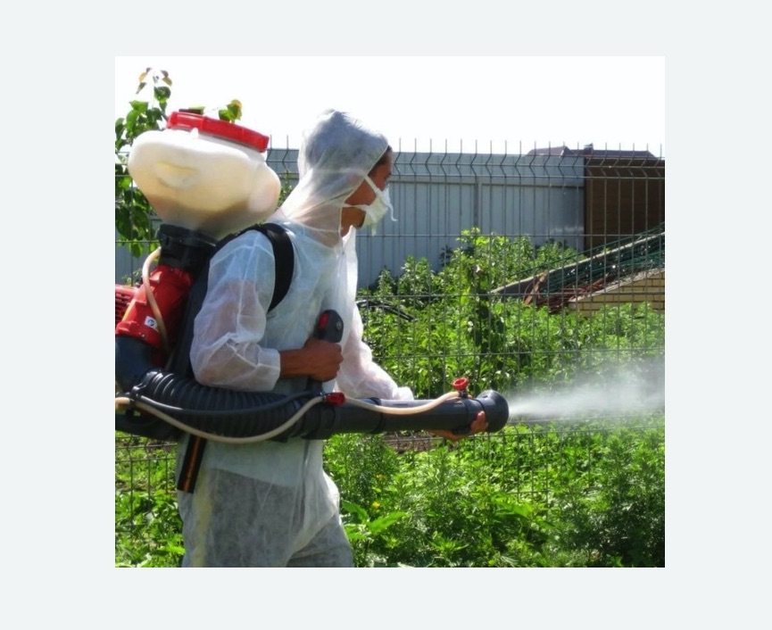 Акарицидная обработка территории в Зверево