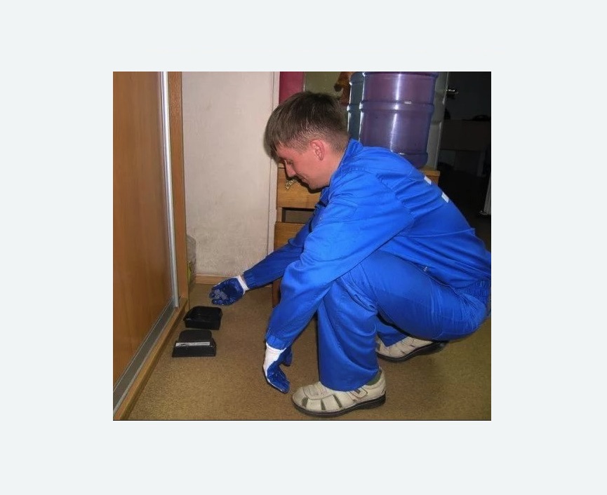 Дератизация крыс в Зверево