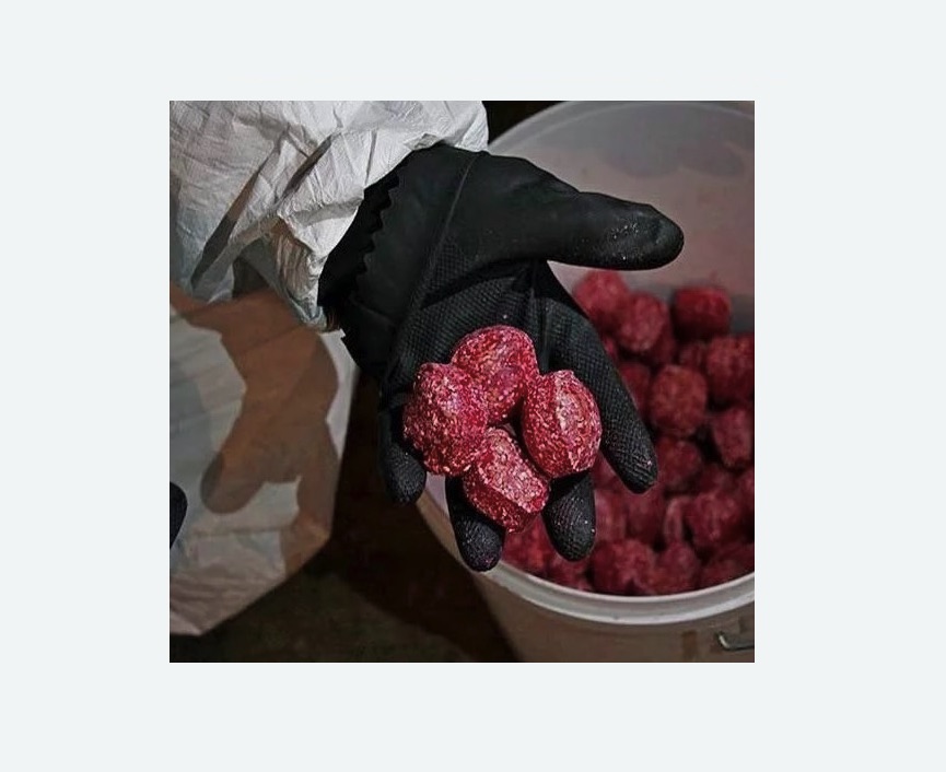 Обработка от крыс в Зверево