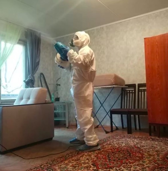 дезинсекция квартиры в Зверево