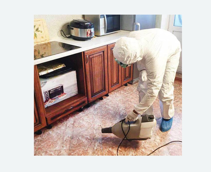 обработка квартиры от клопов в Зверево обработка квартиры от клопов