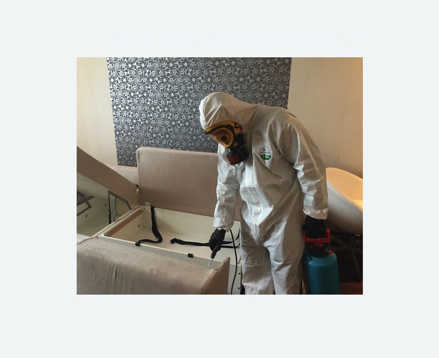 уничтожение клопов в квартире уничтожение клопов в квартире в Зверево