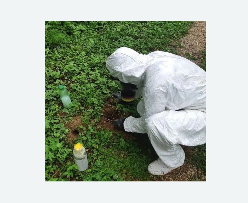 уничтожение кротов на участке в Зверево