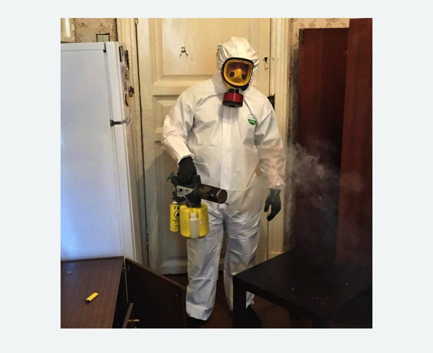 уничтожение муравьев в квартире в Зверево